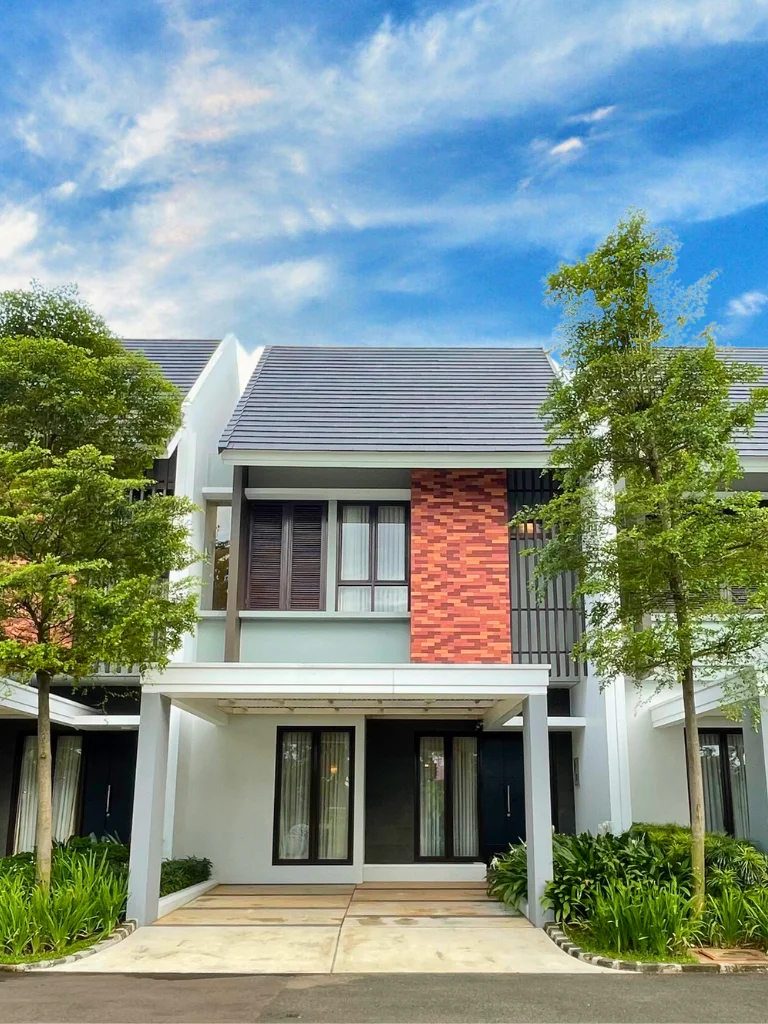 Margata_Olive.fc4fdba488fc7b72e749